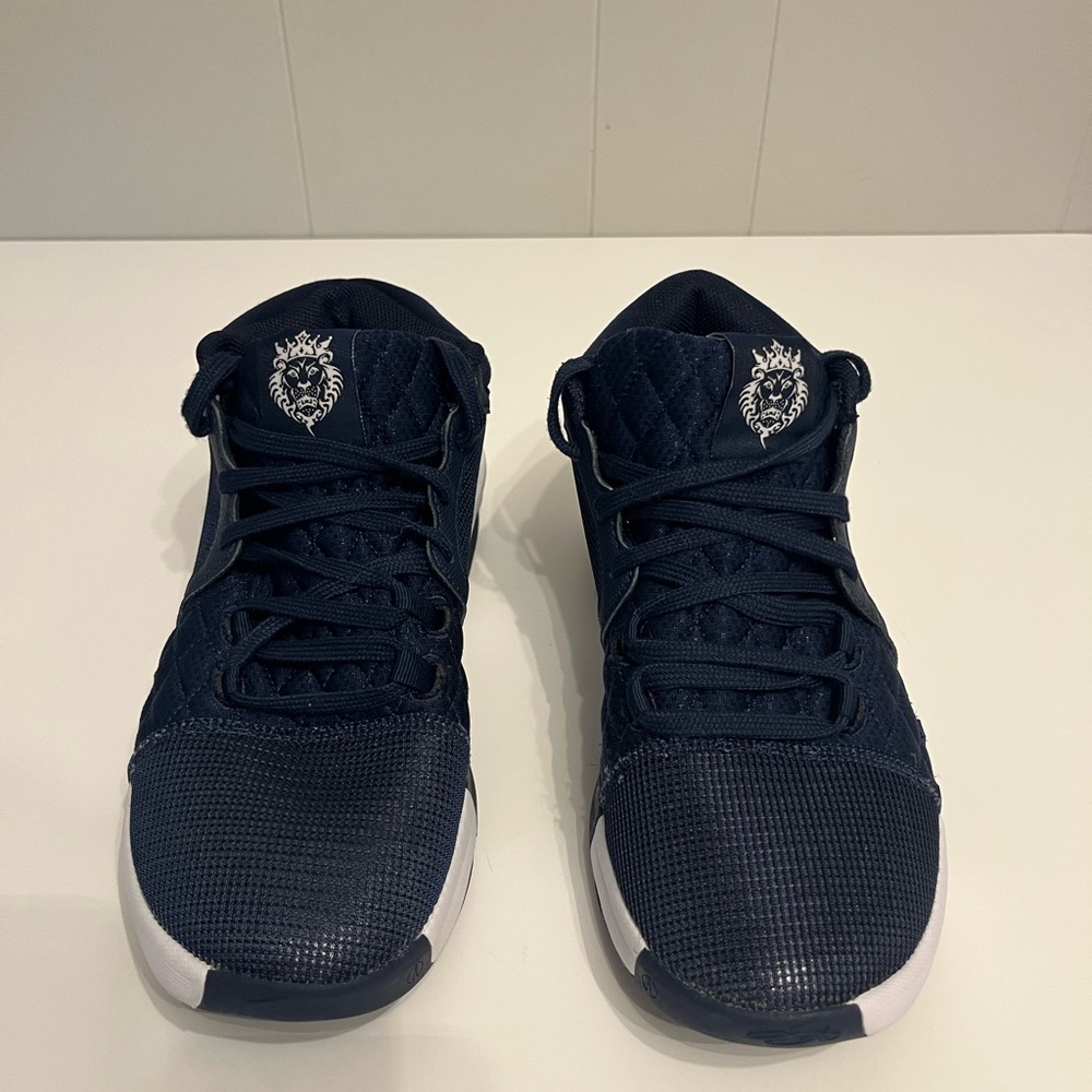 Nike Men’s LeBron Witness 8 Basketball Shoes- Size 7